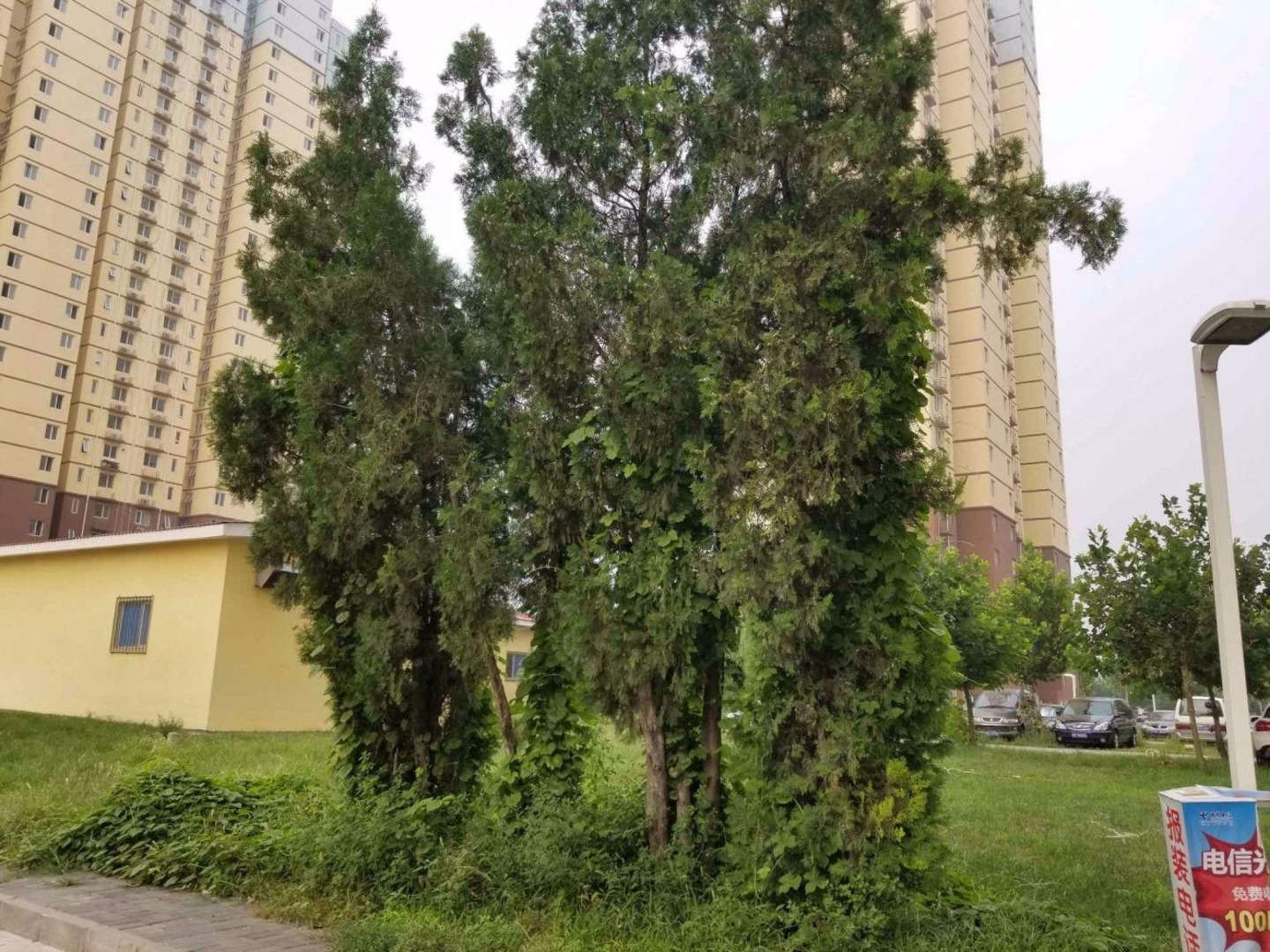 北京丰泽家园二手房房源图片