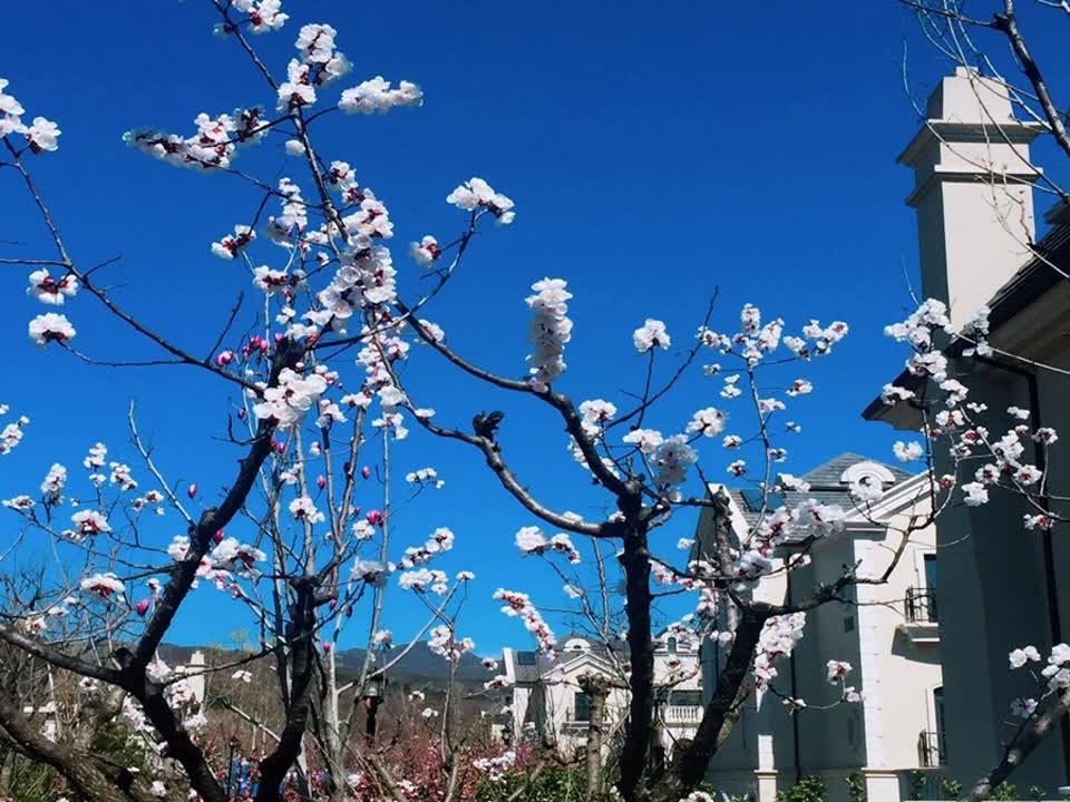 北京凯德麓语二手房房源图片