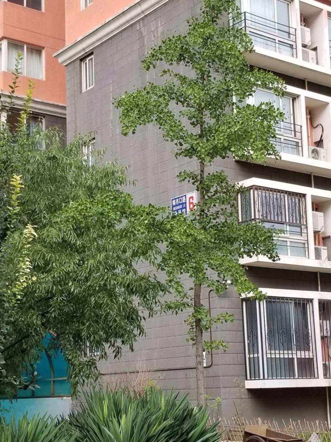 北京民岳家园(西区)二手房房源图片