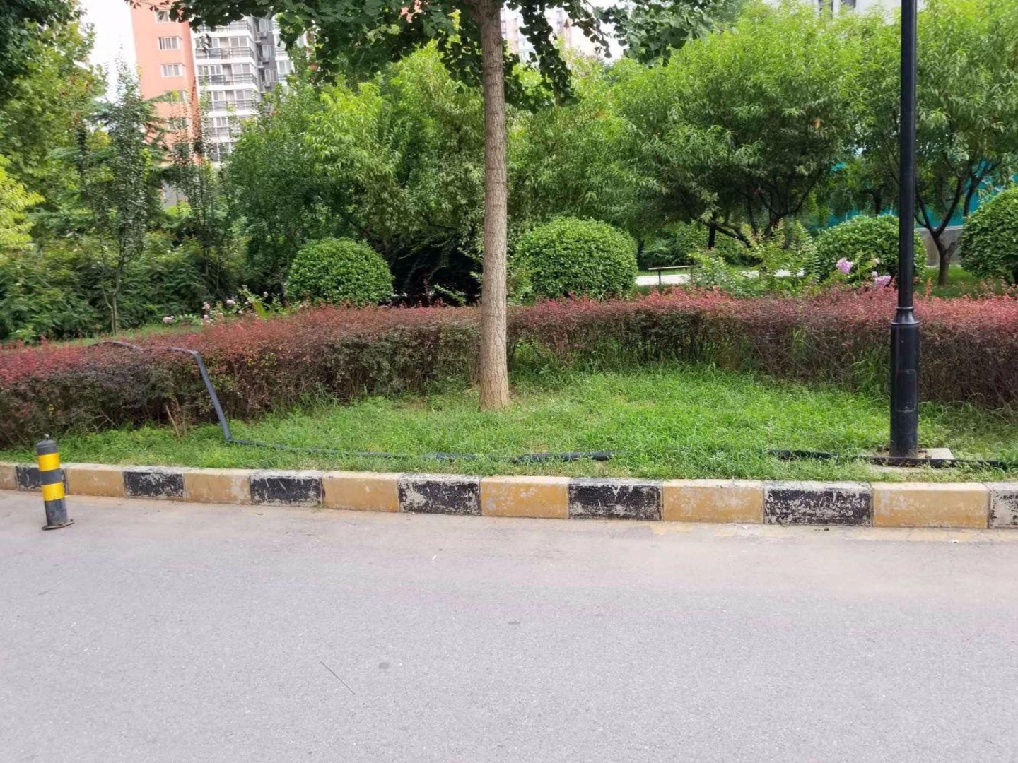 北京民岳家园(西区)二手房房源图片