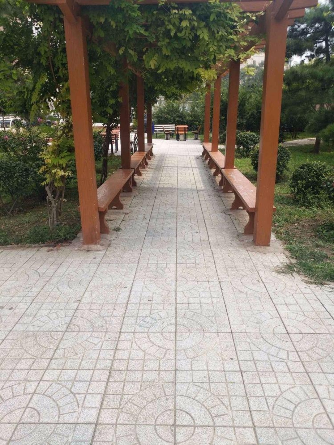 北京望园东里二手房房源图片