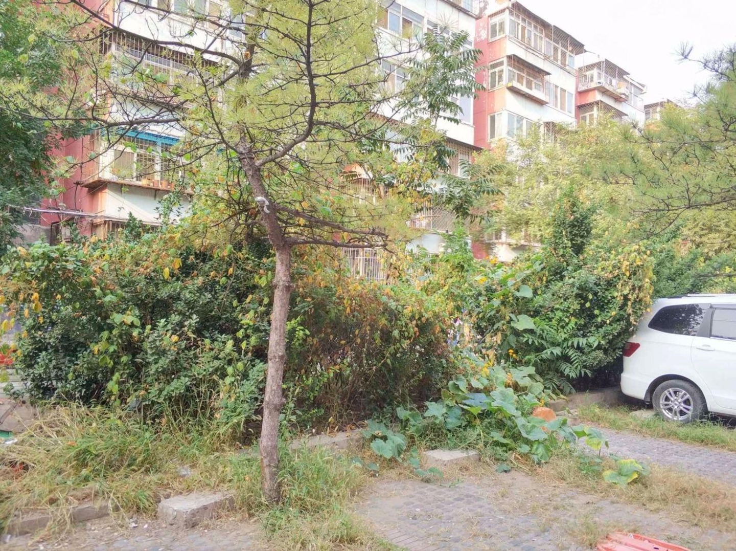 北京丰台西路41号院二手房房源图片