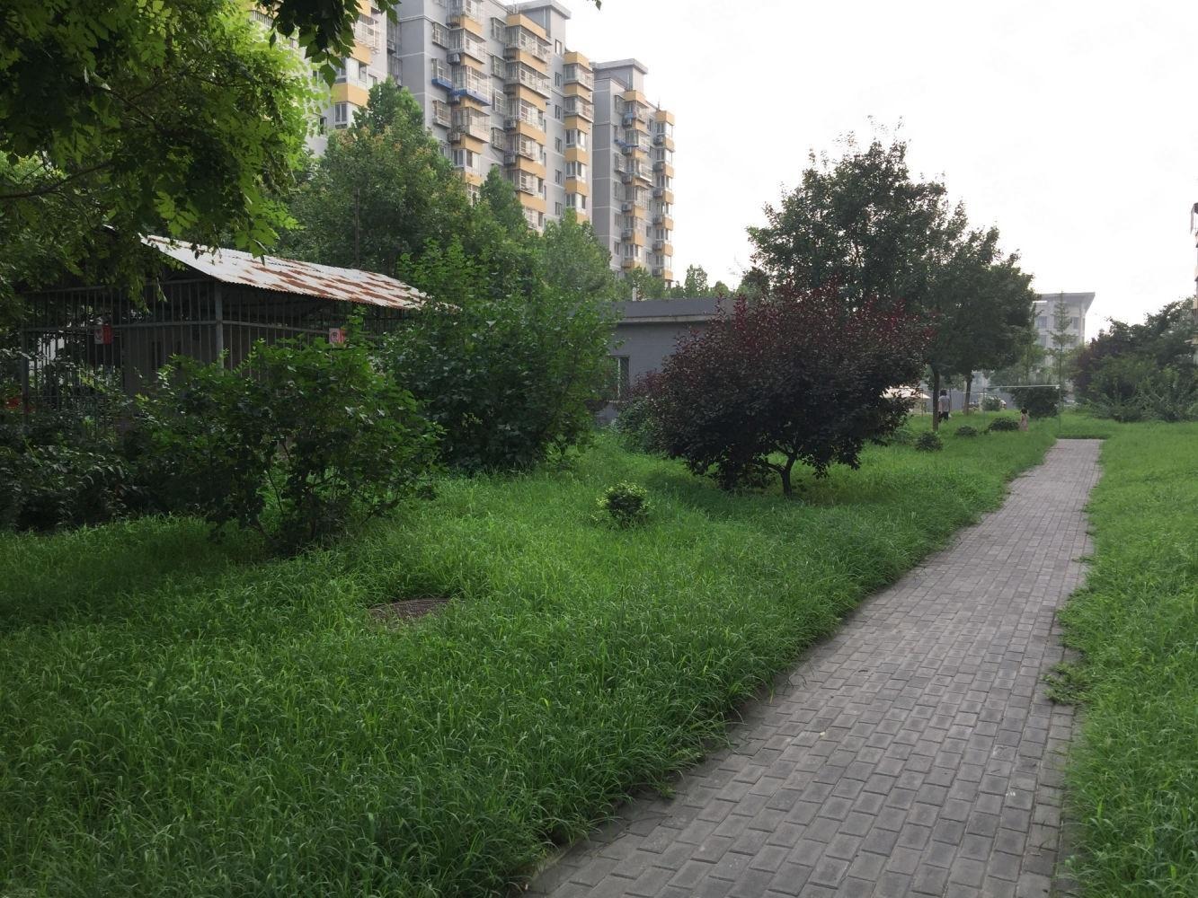 北京常青园北里二手房房源图片