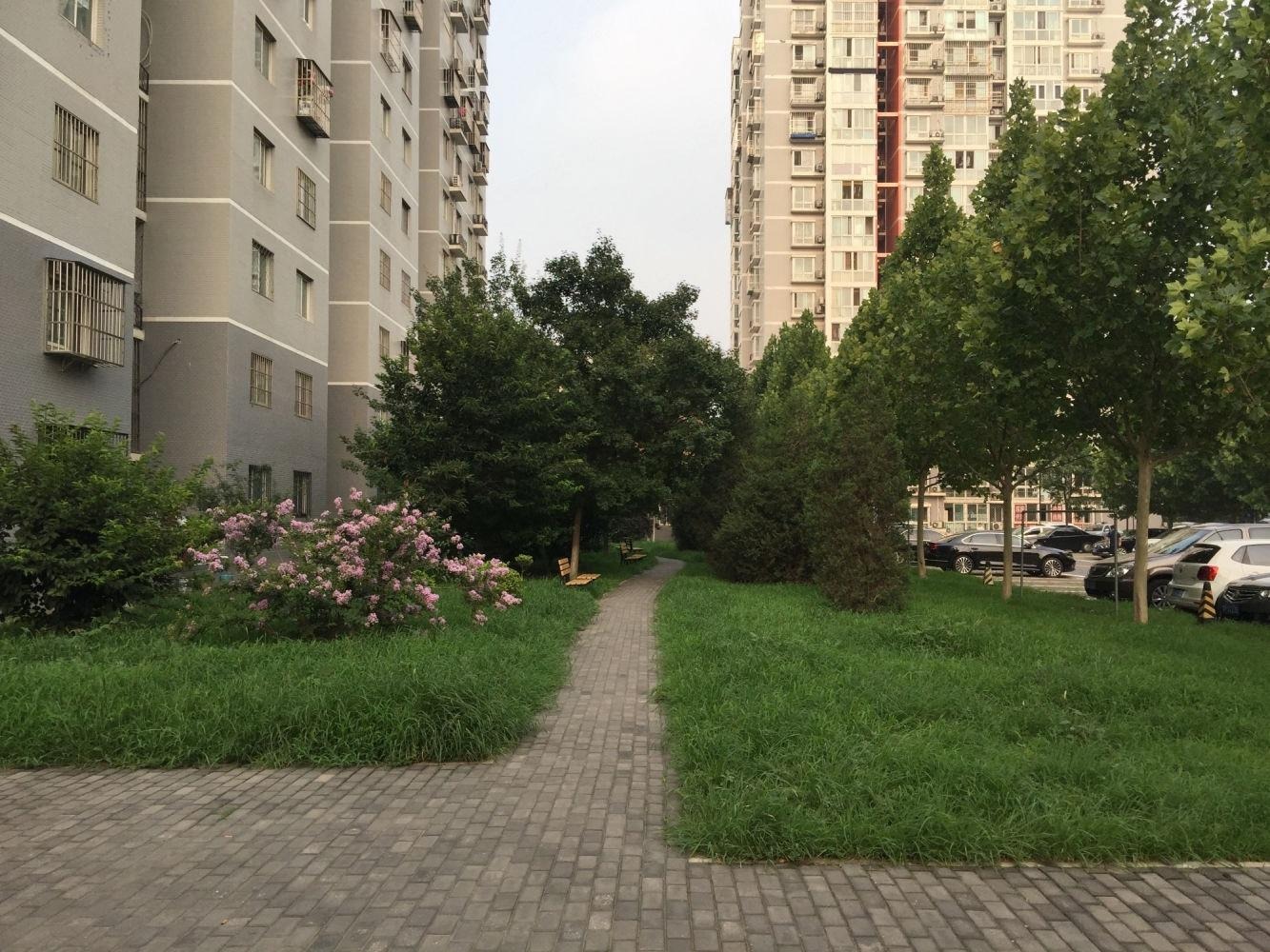 北京常青园北里二手房房源图片