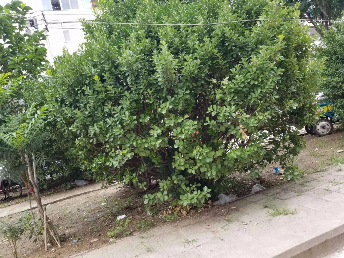 北京梅市口路11号院二手房房源图片