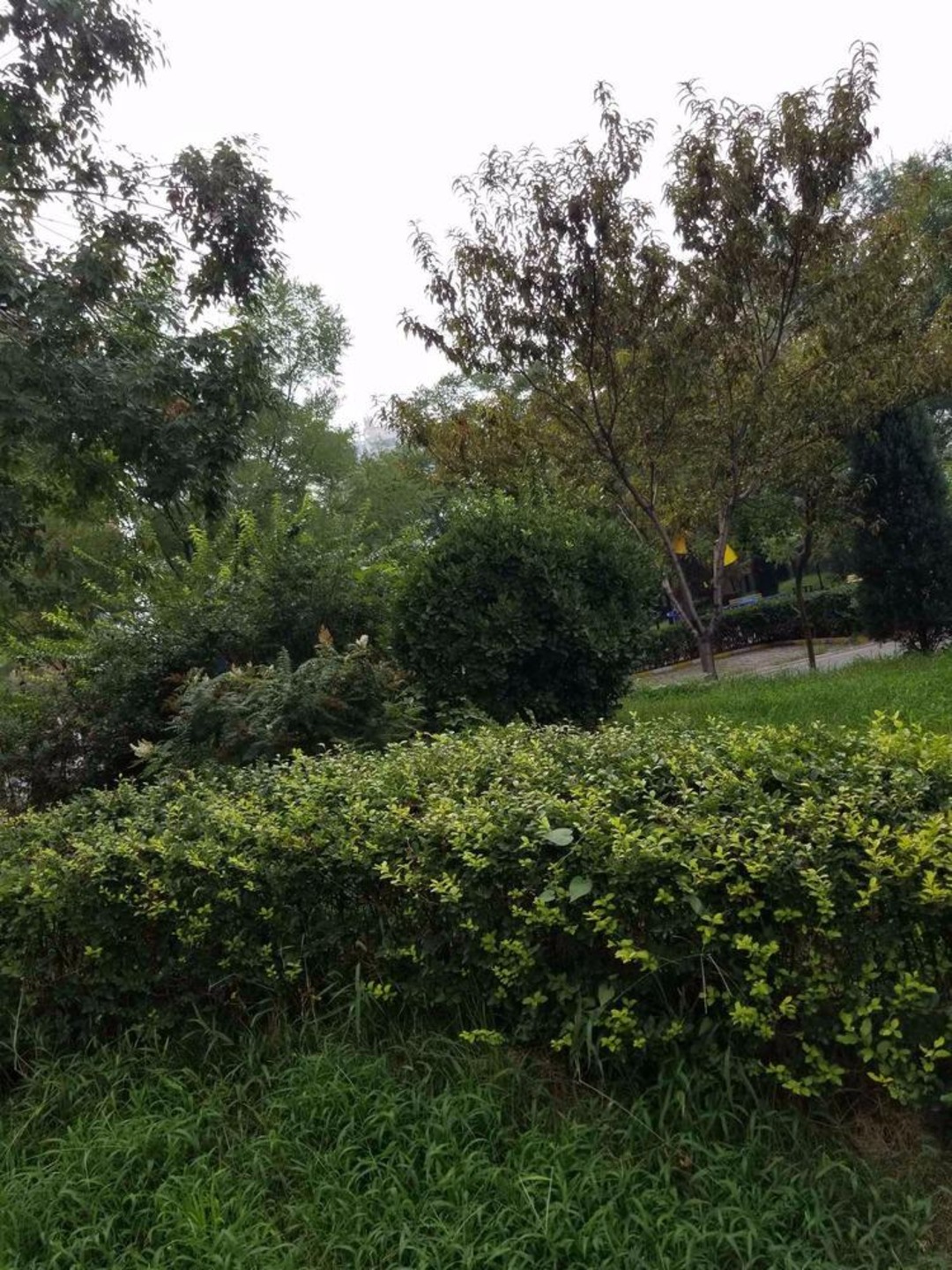 北京梅市口路甲12号院二手房房源图片