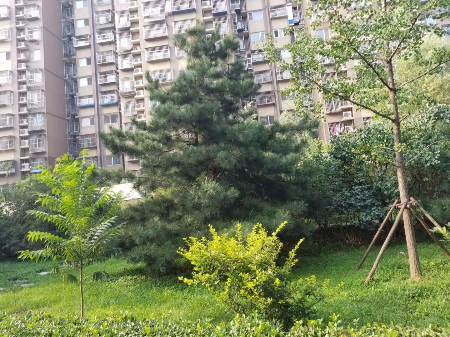 北京美域家园南区二手房房源图片