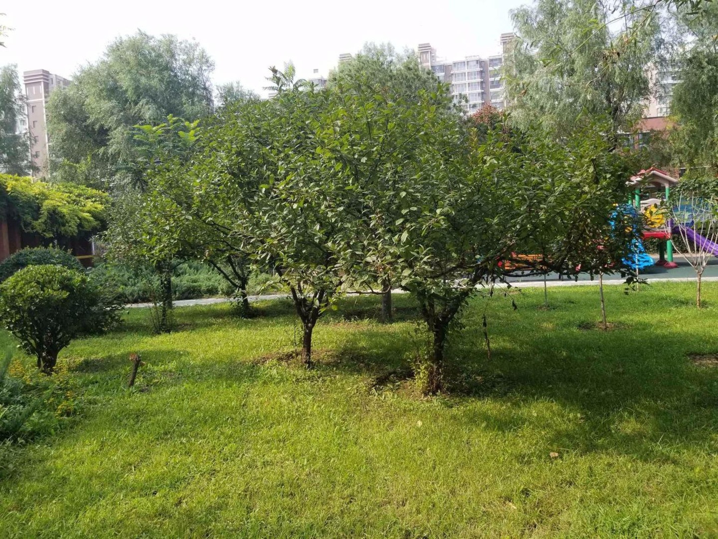 北京美域家园南区二手房房源图片