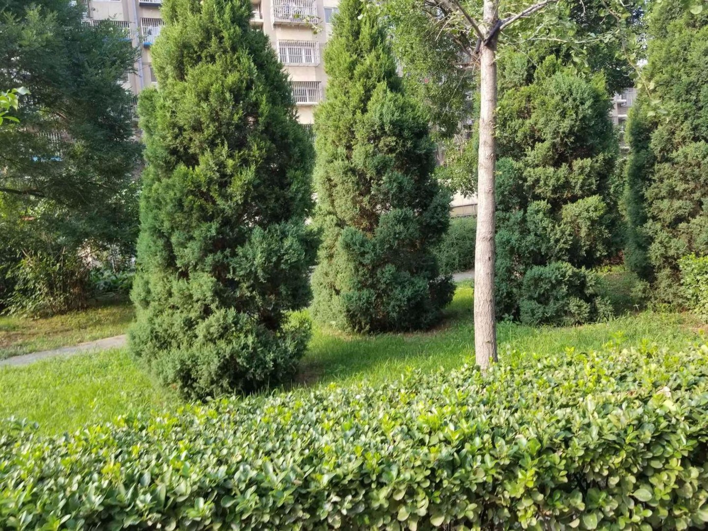 北京美域家园南区二手房房源图片