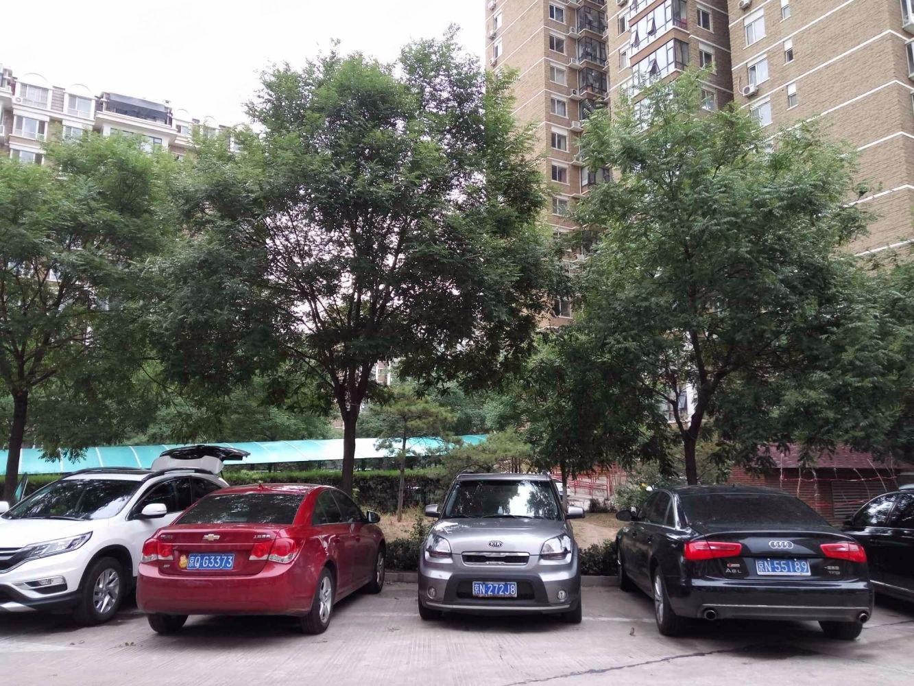 北京天通中苑(38-51号楼)二手房房源图片