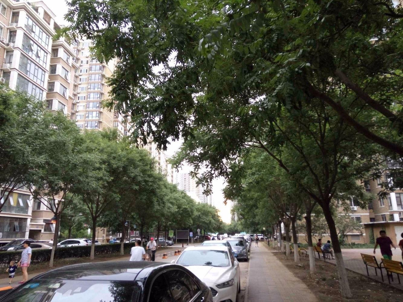 北京天通中苑(52-65号楼)二手房房源图片