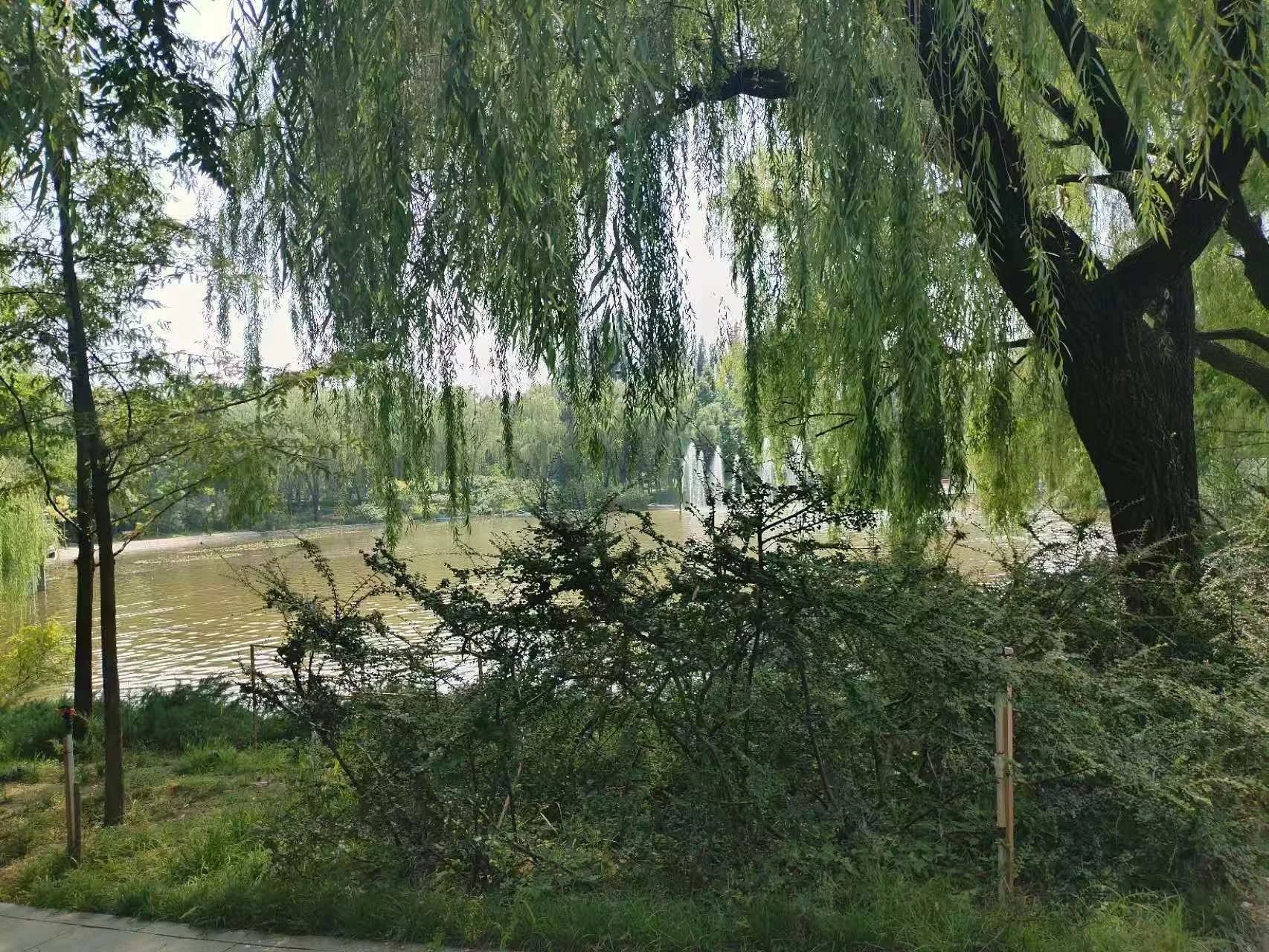 北京中关村软件园二手房房源图片
