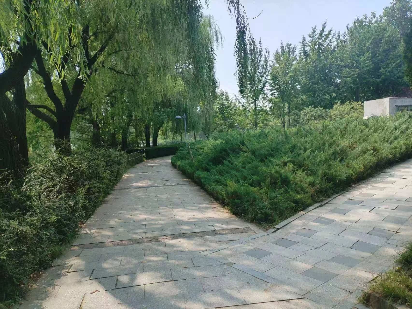 北京中关村软件园二手房房源图片