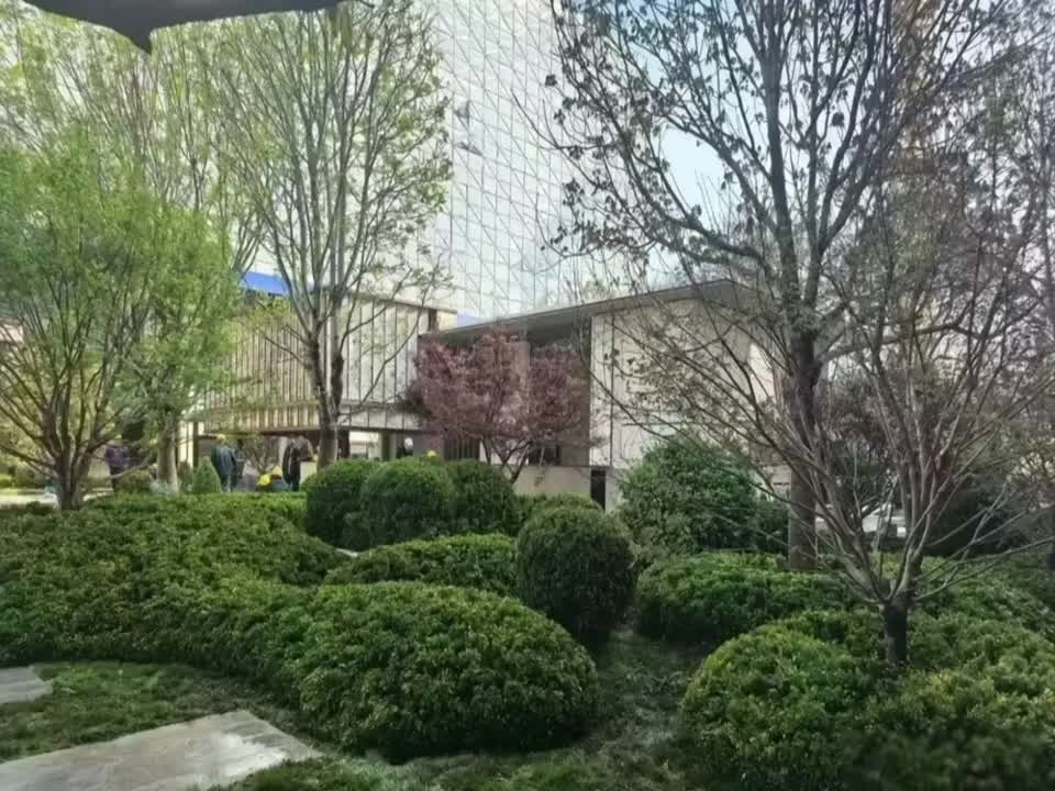 北京龙湖·观萃二手房房源图片