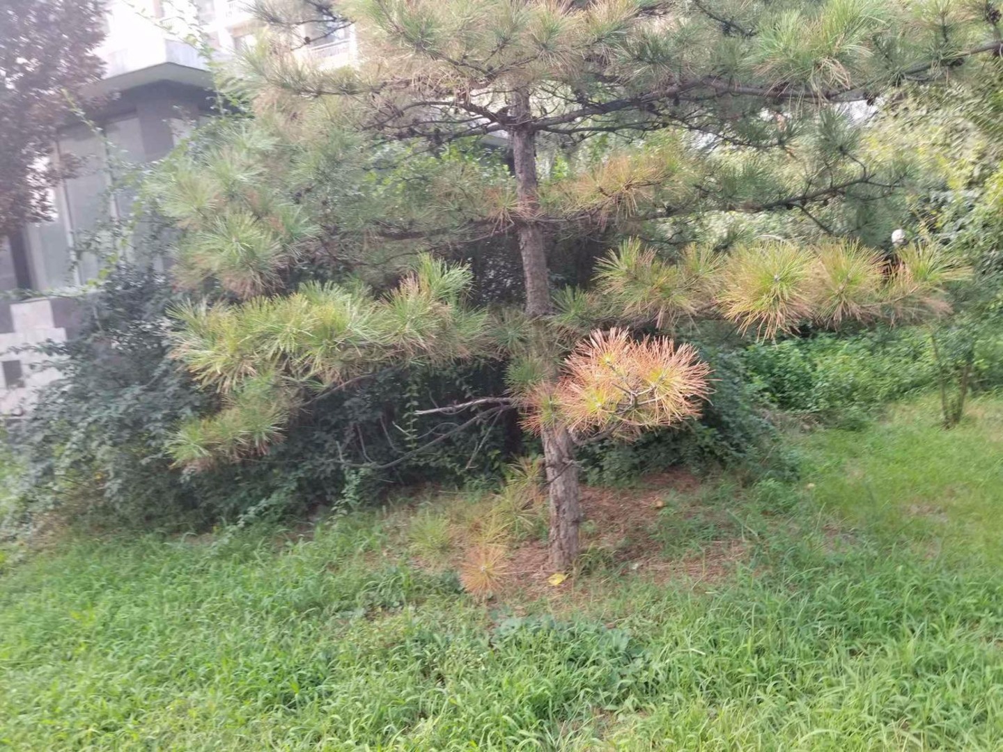 北京美域家园北区二手房房源图片