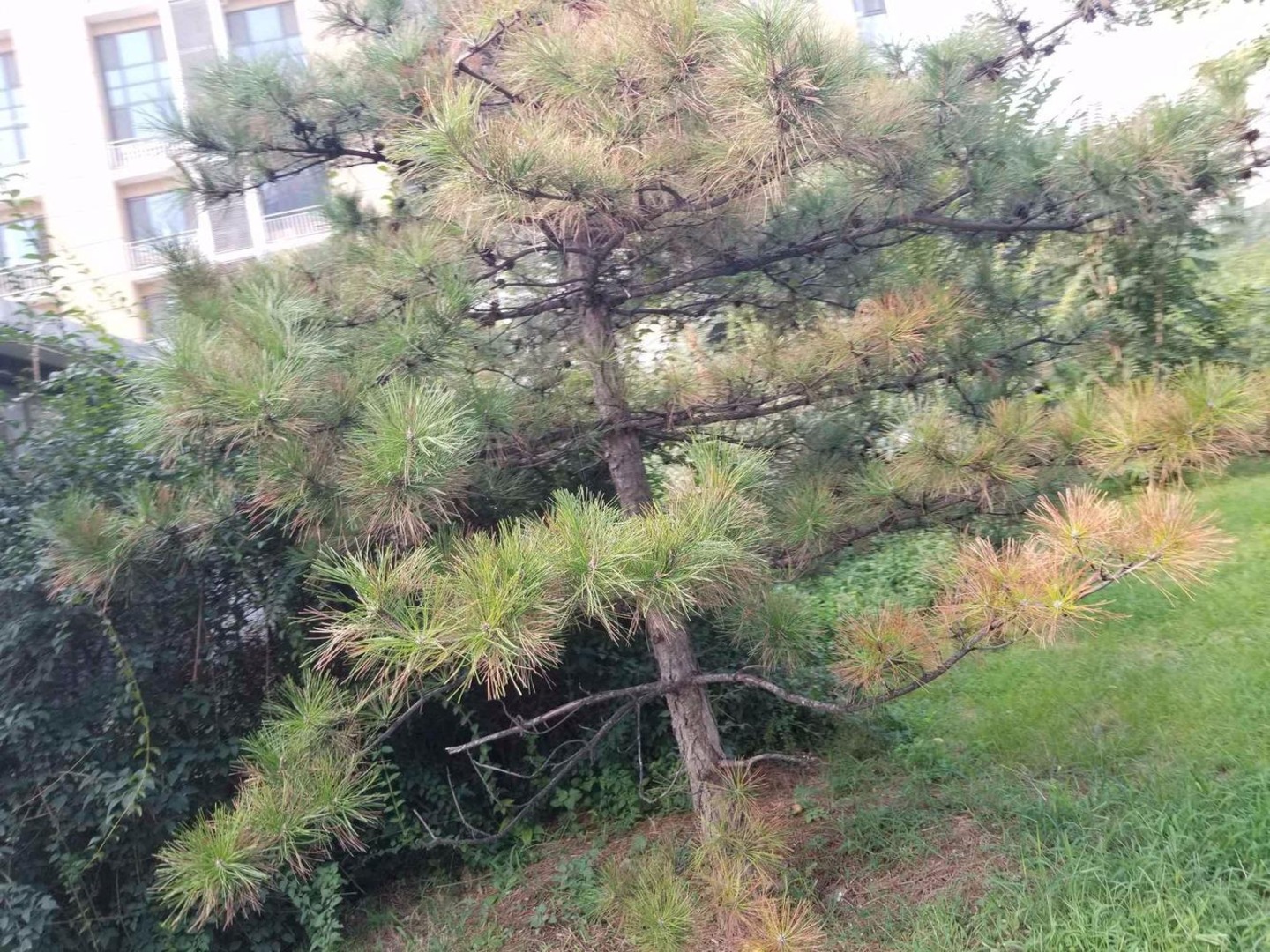 北京美域家园北区二手房房源图片