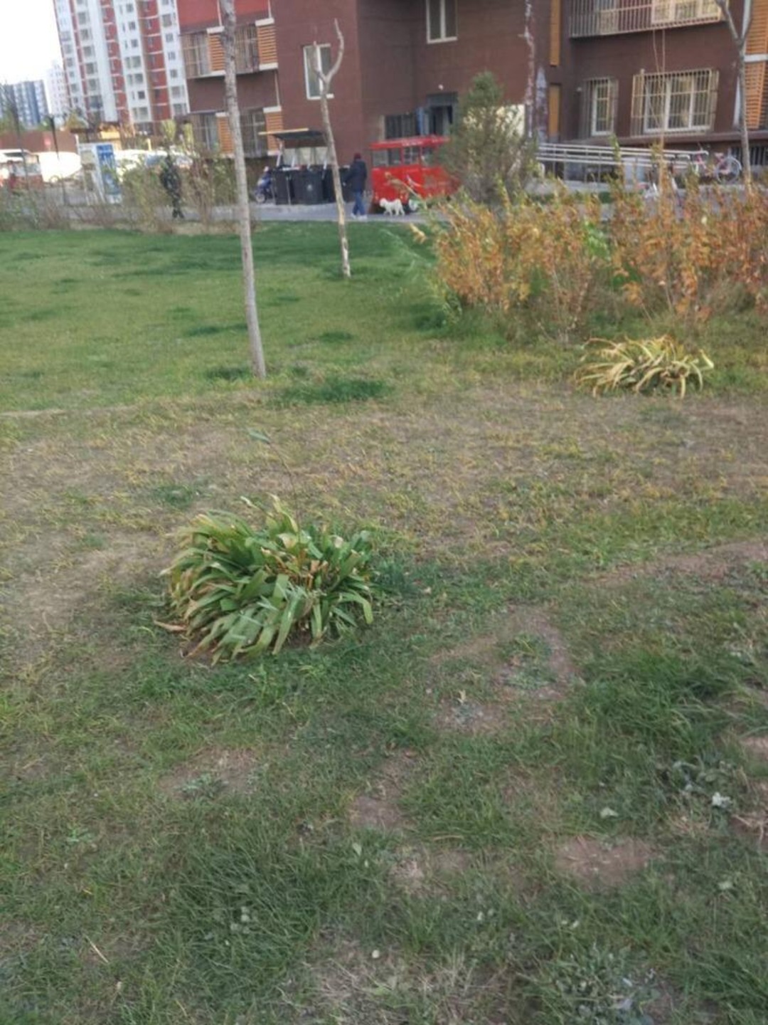 北京鸿博家园(一期A区)二手房房源图片