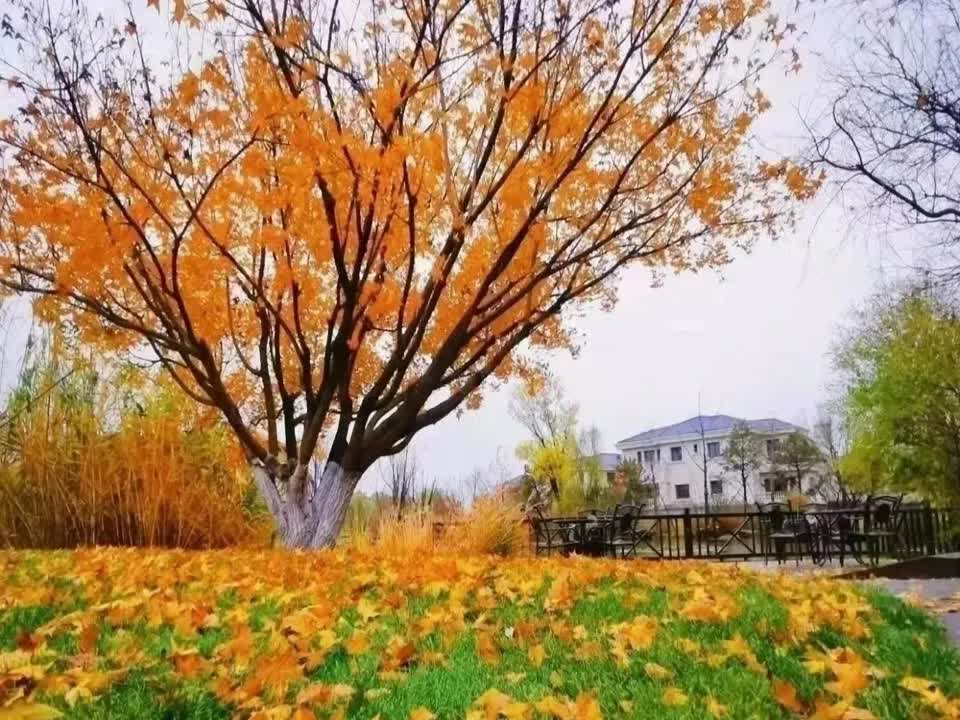 北京御汤山二手房房源图片
