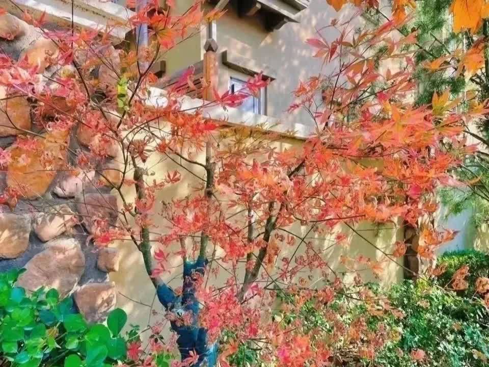北京御汤山二手房房源图片