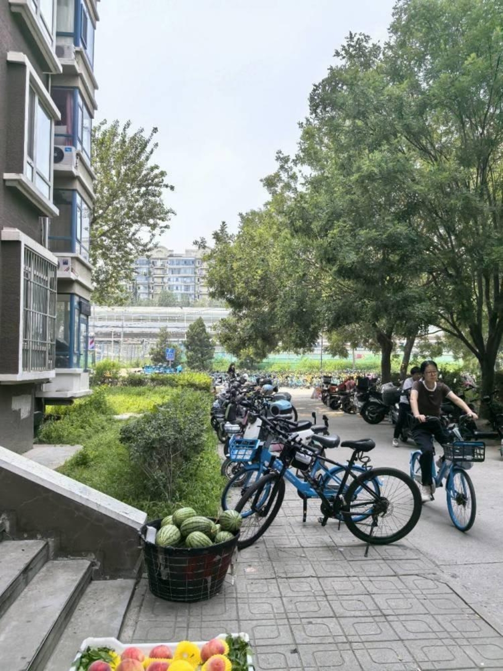 北京天通苑北一区二手房房源图片