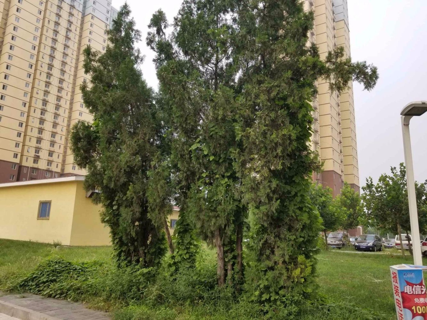 北京丰泽家园二手房房源图片