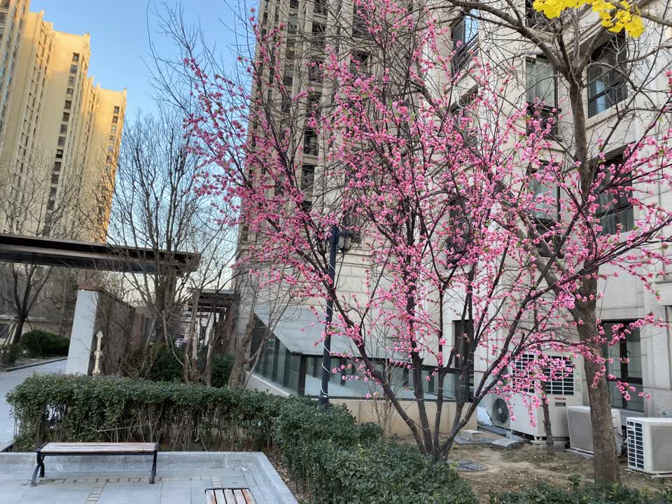 北京丽都壹号二手房房源图片