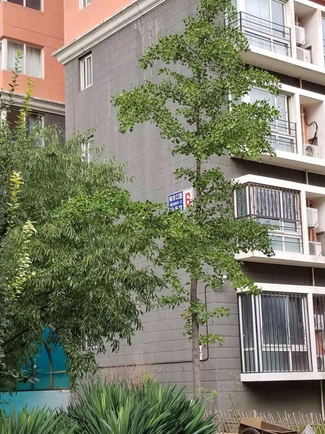 北京民岳家园(西区)二手房房源图片