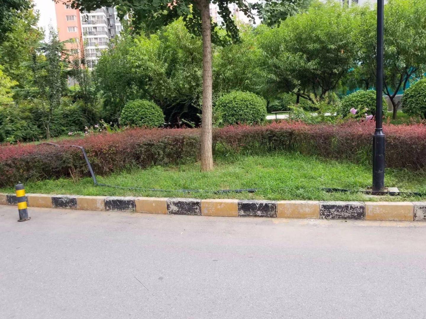 北京民岳家园(西区)二手房房源图片