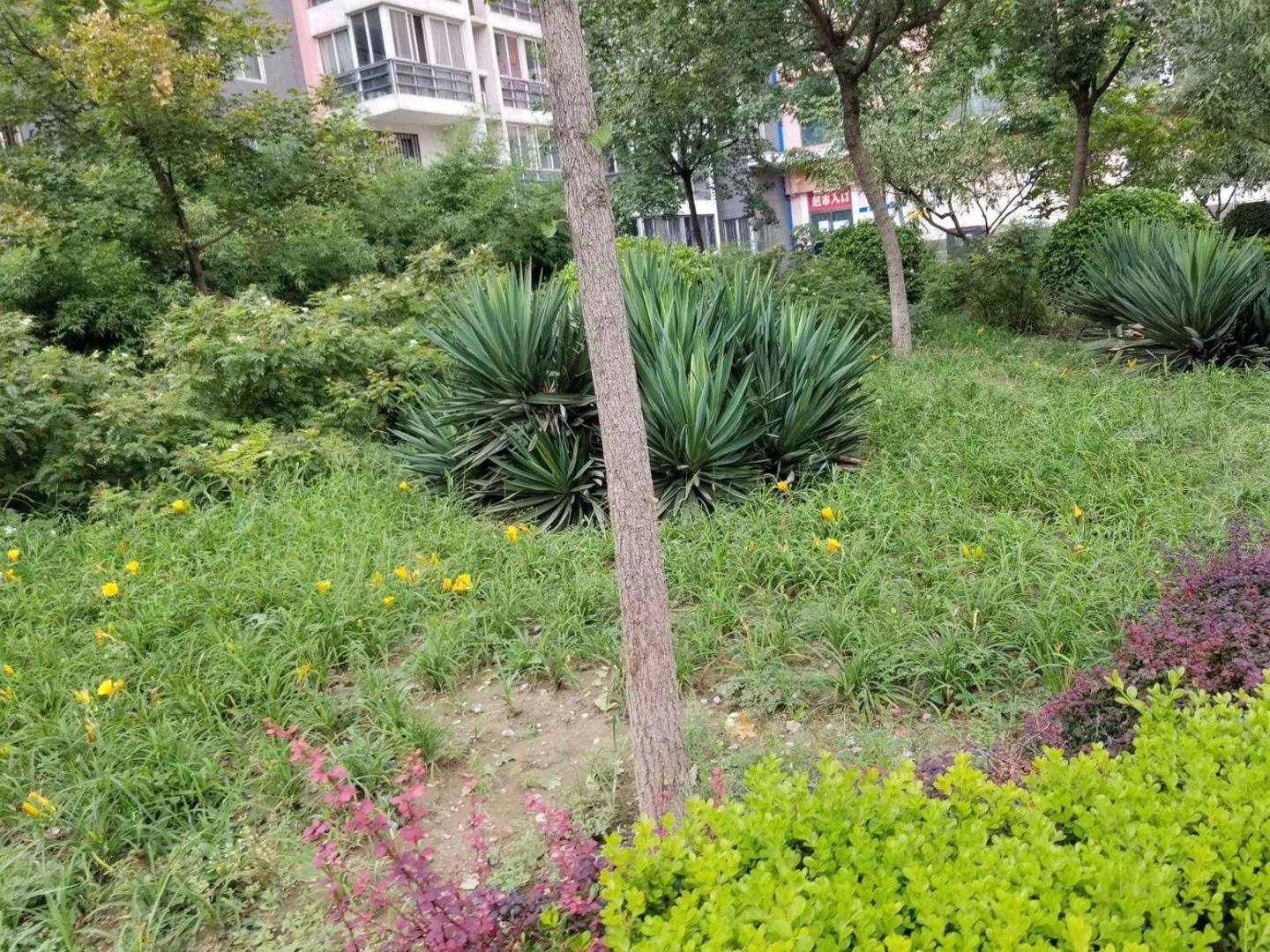 北京民岳家园(西区)二手房房源图片