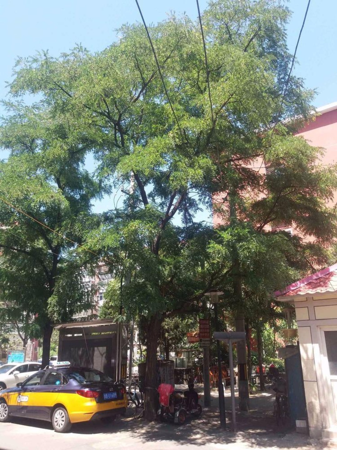 北京大井北里二手房房源图片