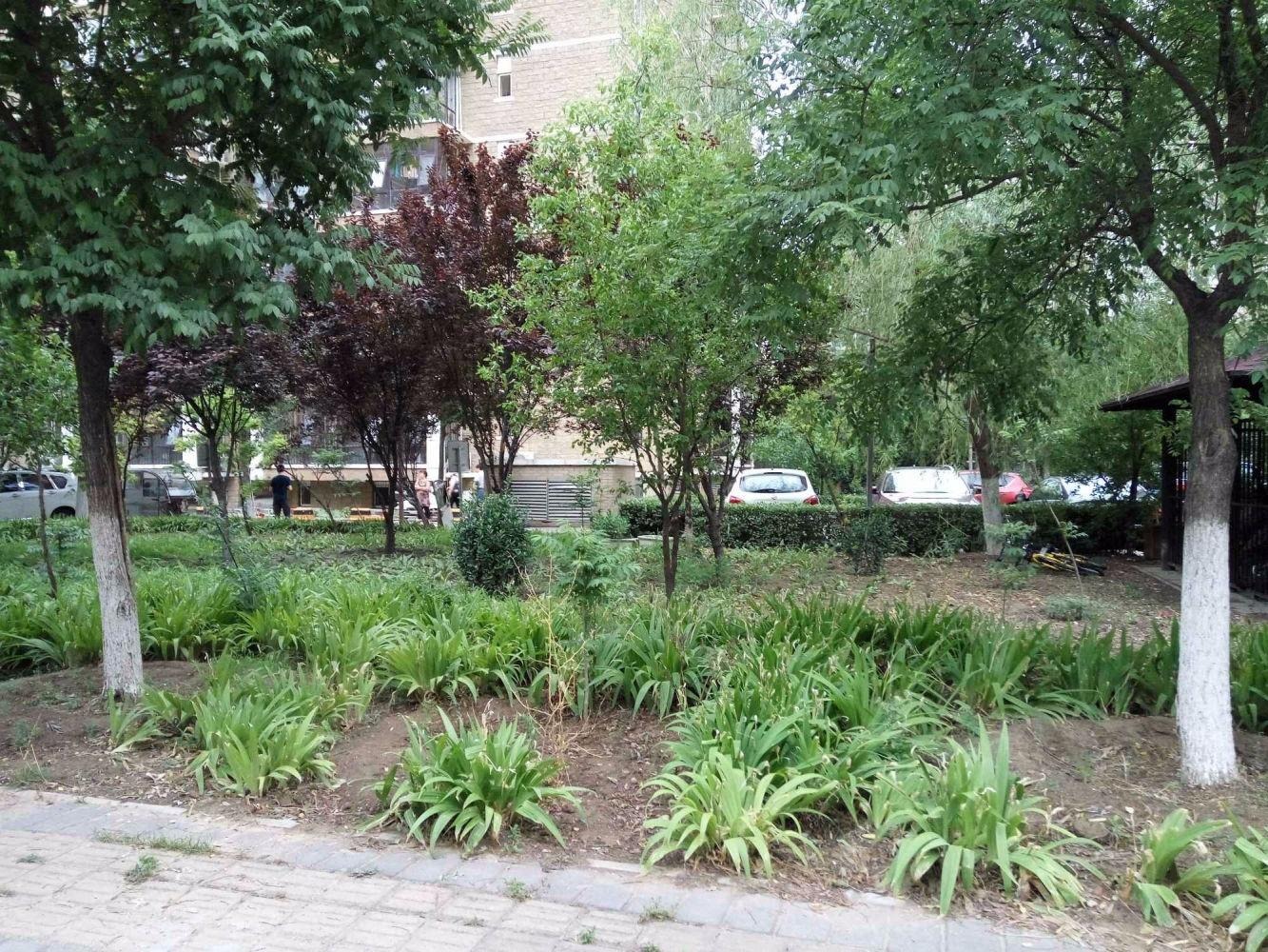 北京天通中苑(38-51号楼)二手房房源图片