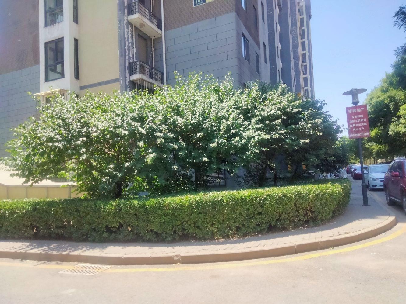 北京育新花园西里二手房房源图片