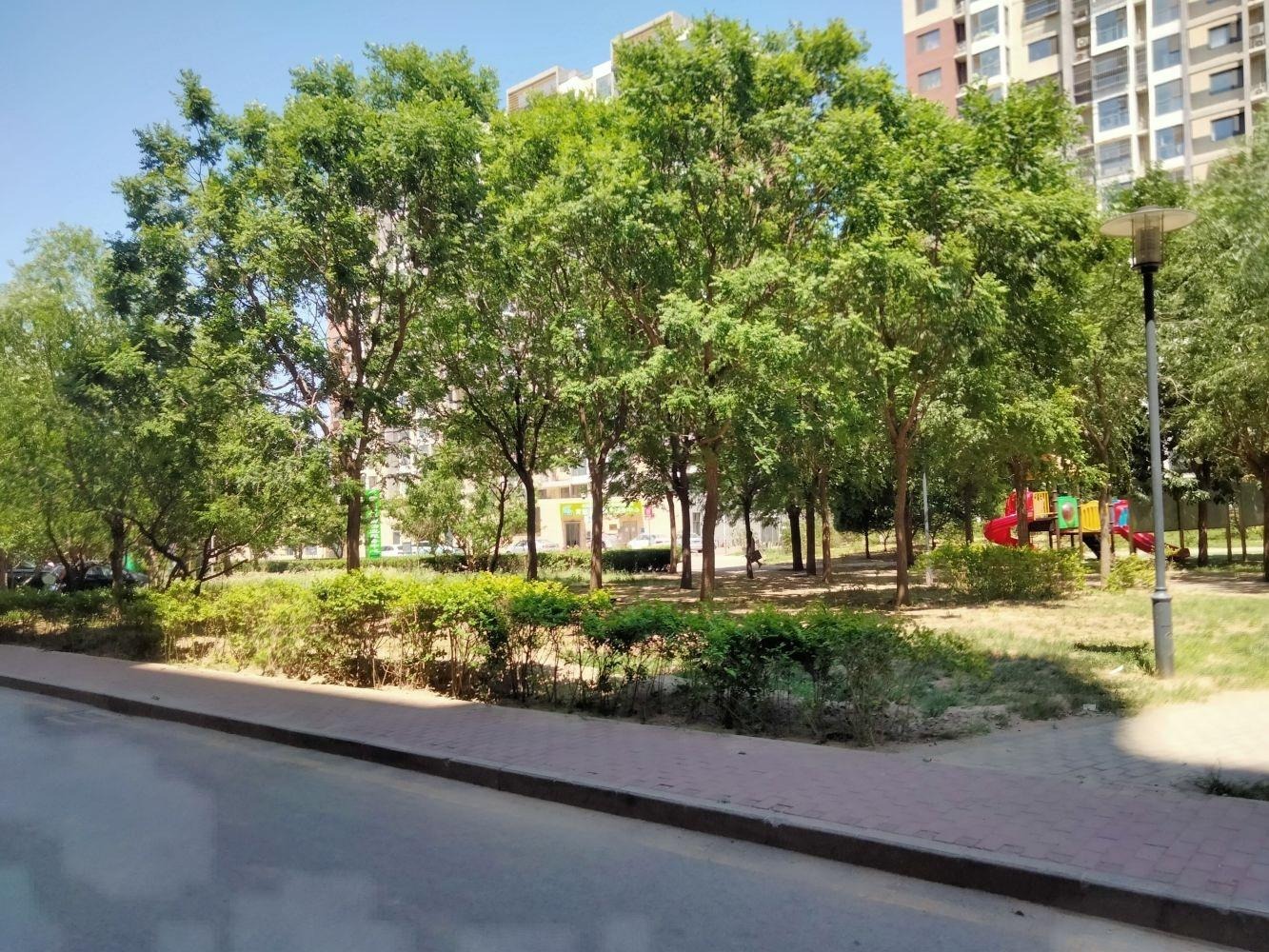 北京育新花园中里二手房房源图片