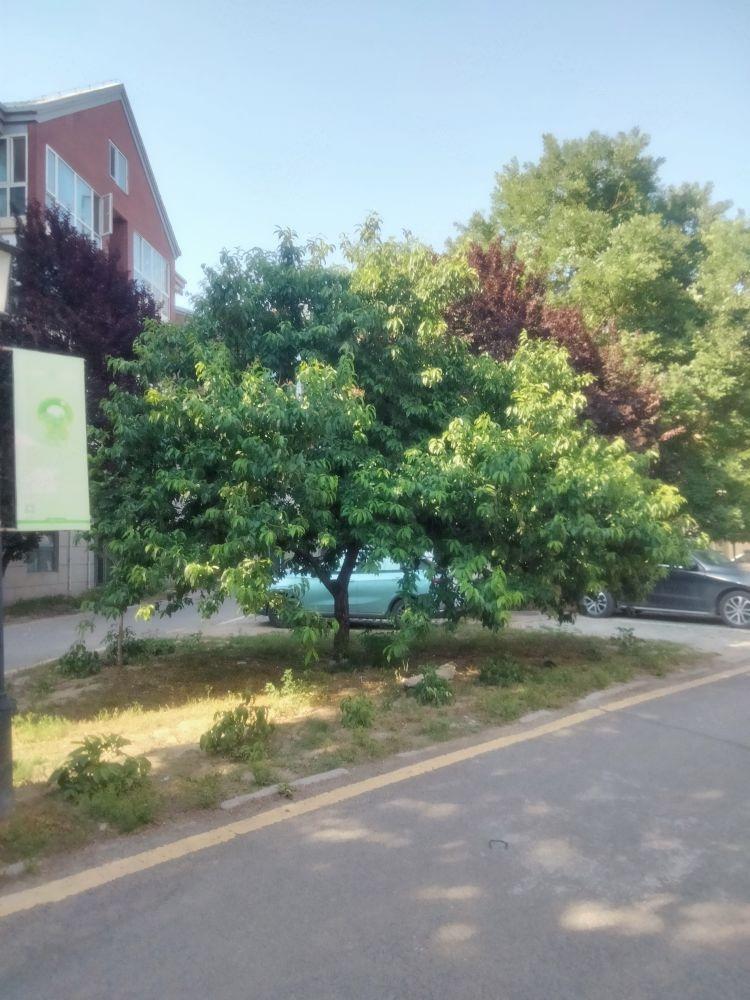 北京恒盛波尔多小镇(南区)二手房房源图片