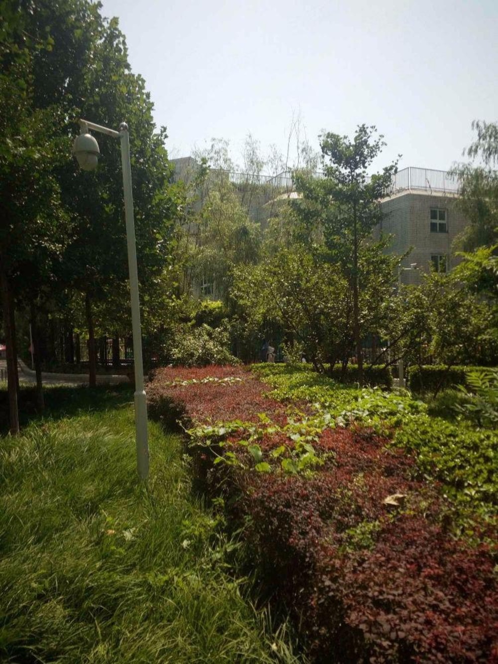 北京时雨园(蓝靛厂)二手房房源图片