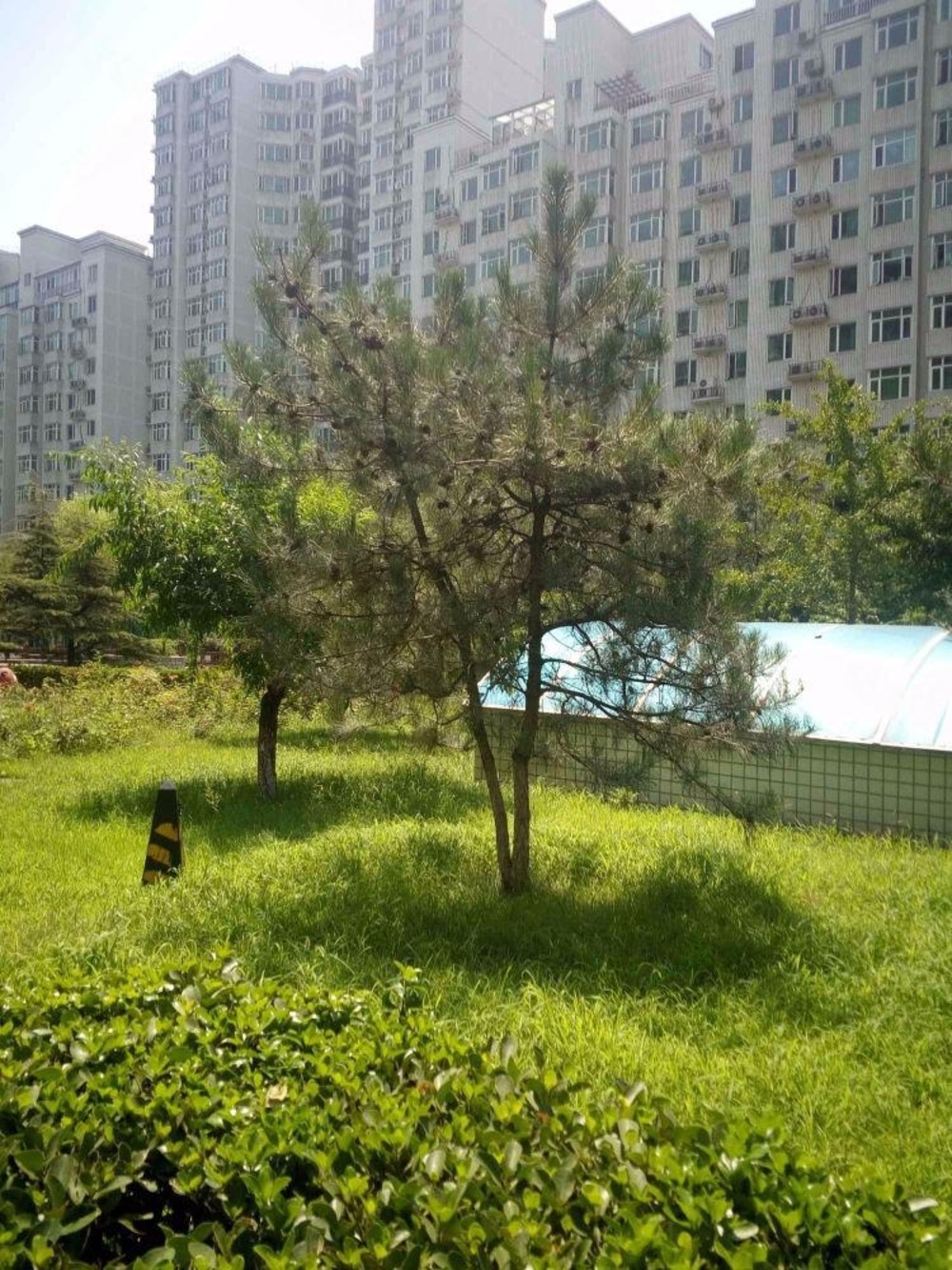 北京时雨园(蓝靛厂)二手房房源图片