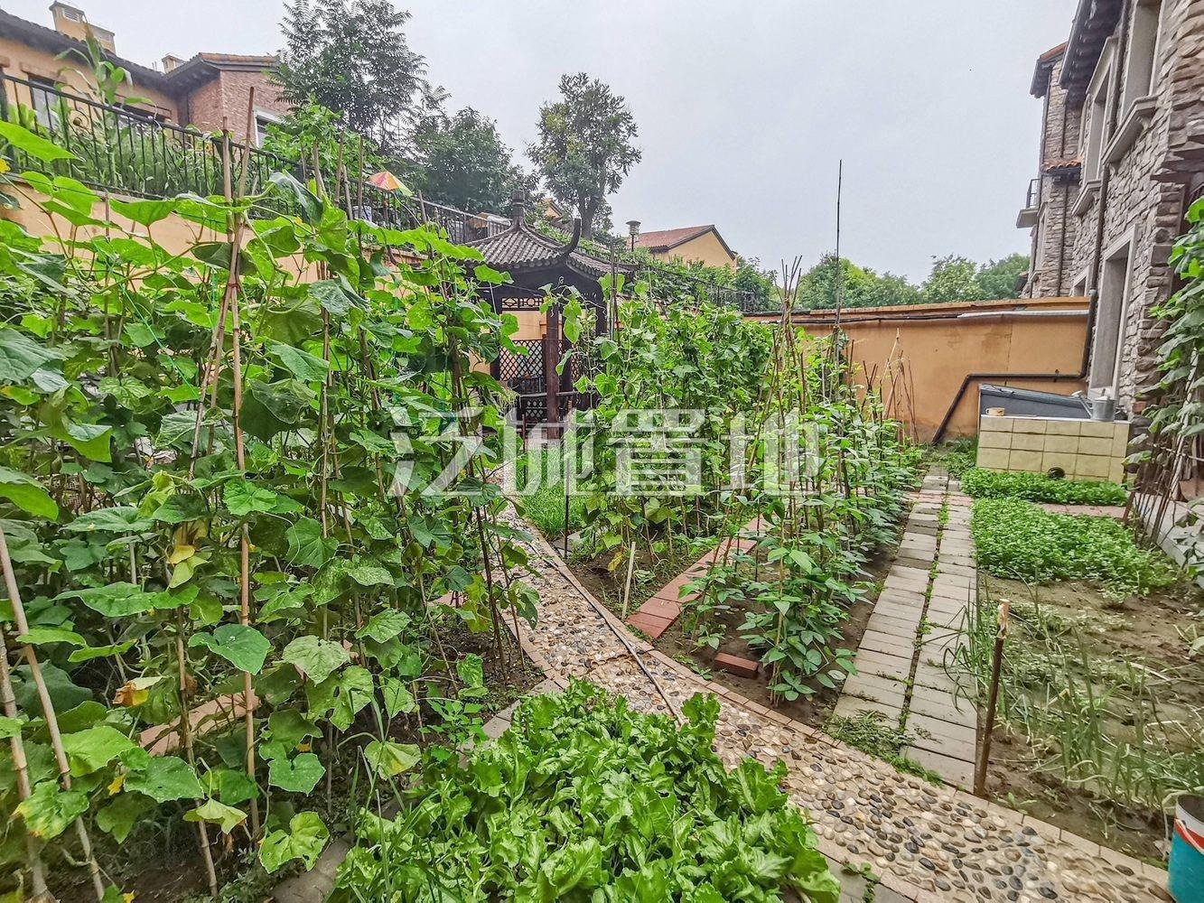 北京远洋傲北别墅二手房房源图片