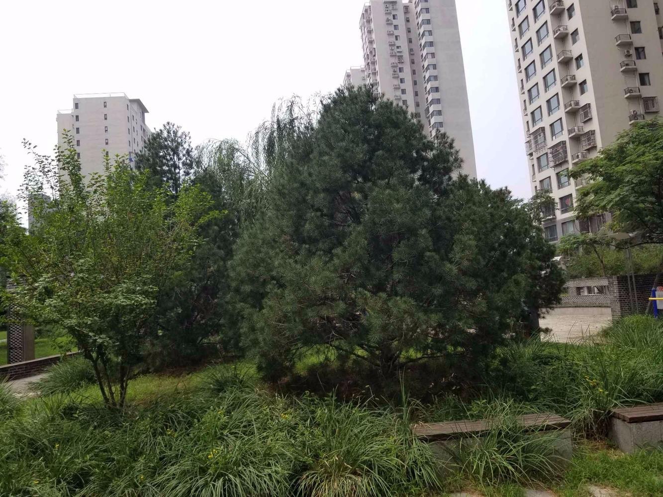 北京西府颐园畅和园二手房房源图片