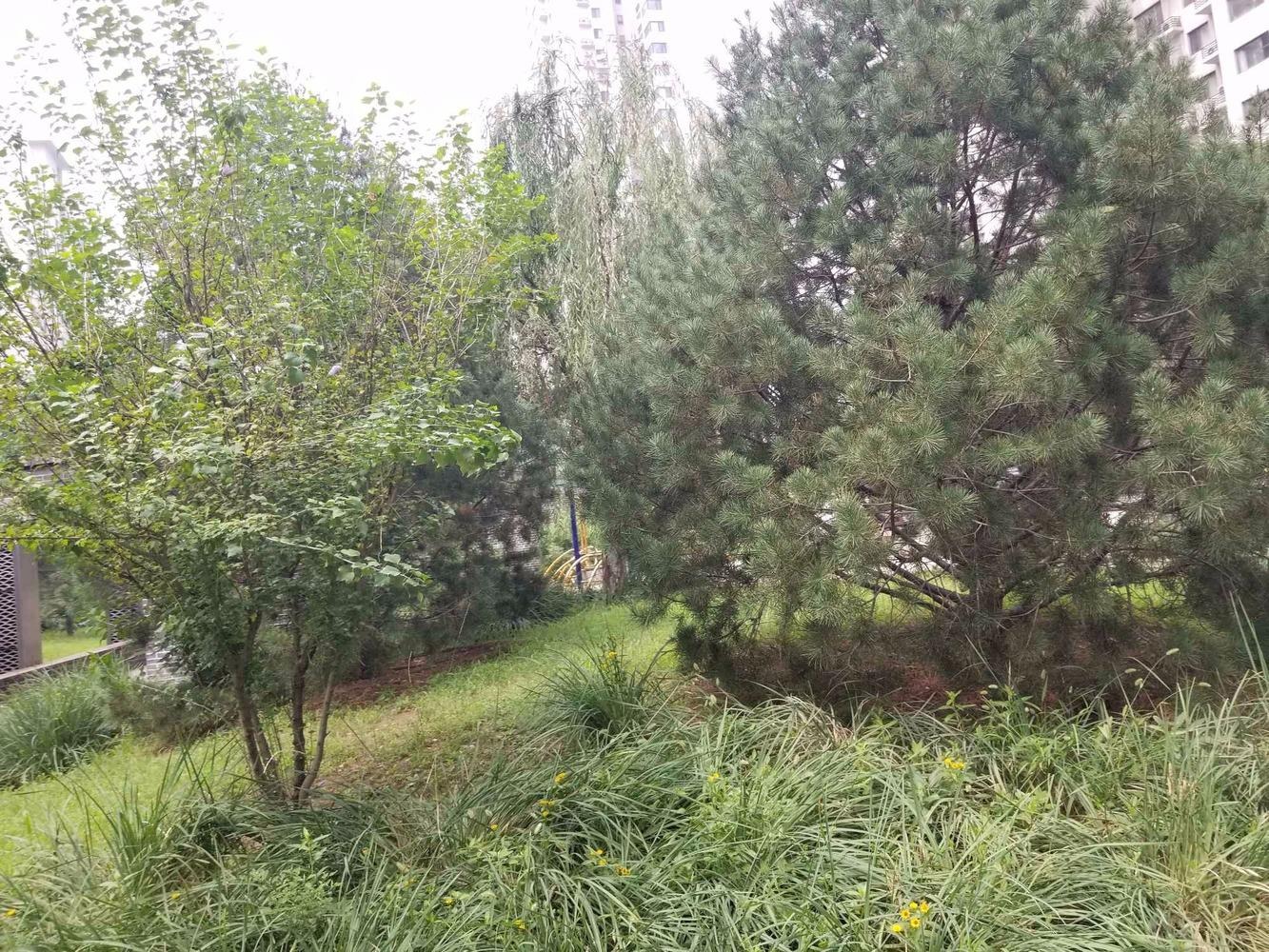 北京西府颐园畅和园二手房房源图片