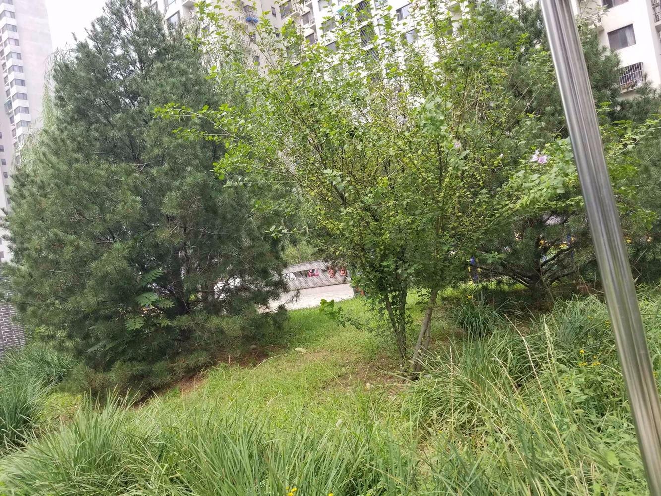 北京西府颐园畅和园二手房房源图片