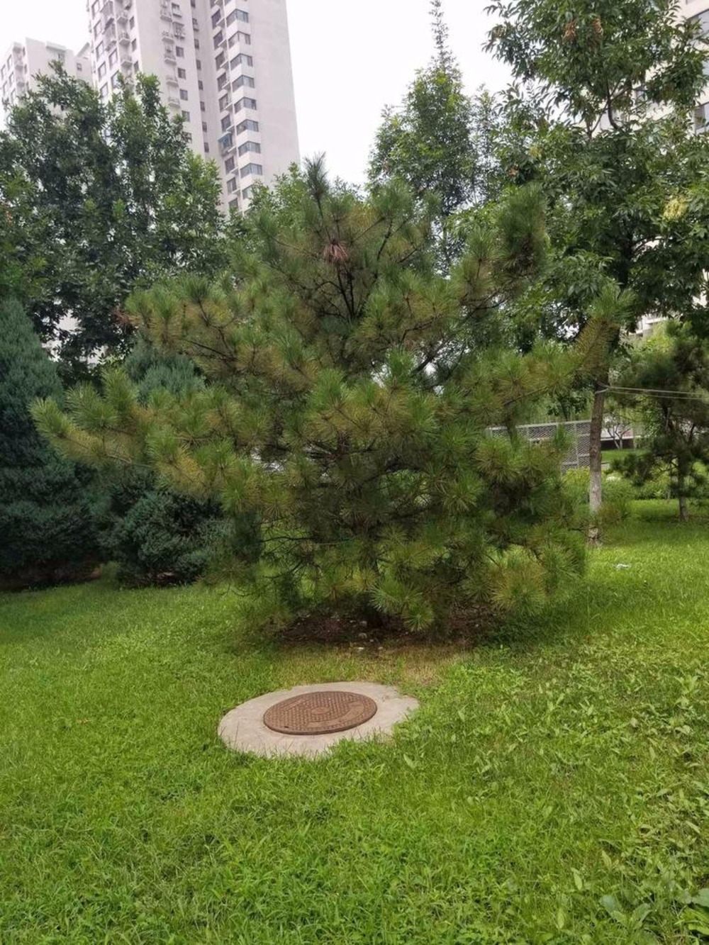 北京西府颐园畅和园二手房房源图片