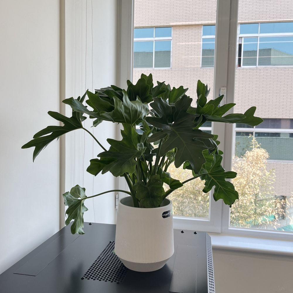 北京上地方正大厦二手房房源图片