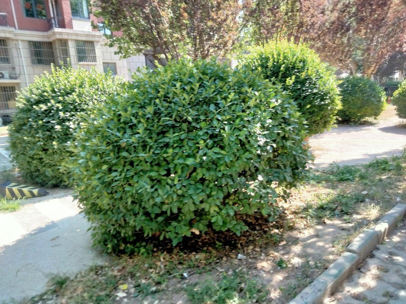 北京恒盛波尔多小镇(北区)二手房房源图片