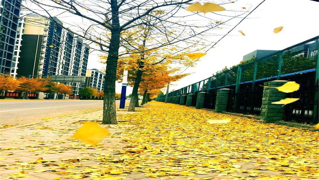 北京恒盛波尔多小镇(北区)二手房房源图片