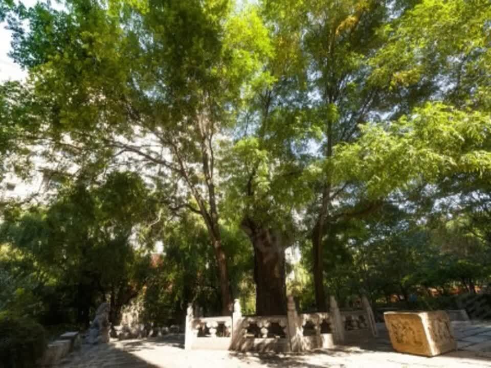 北京一瓶二手房房源图片