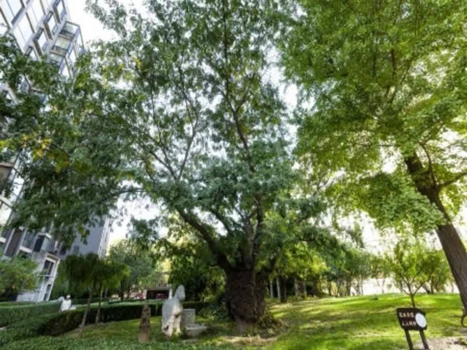 北京一瓶二手房房源图片