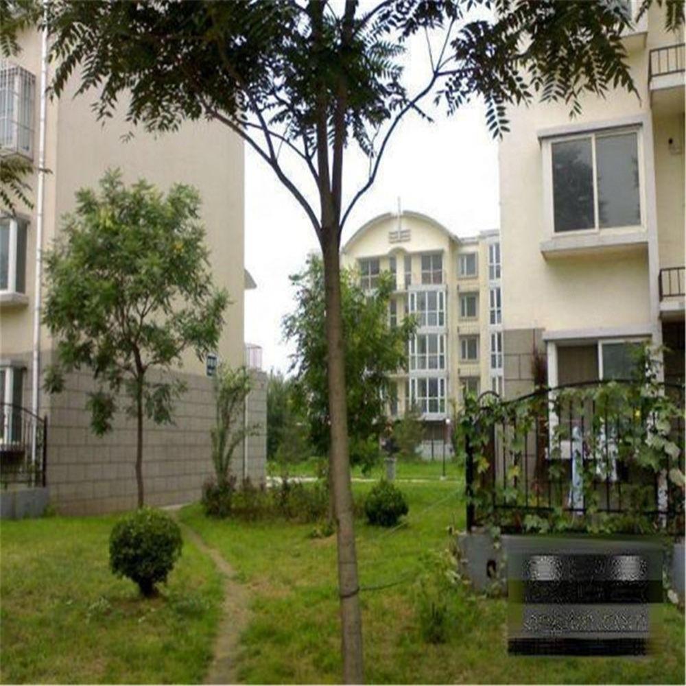 北京蓝天花园二手房房源图片