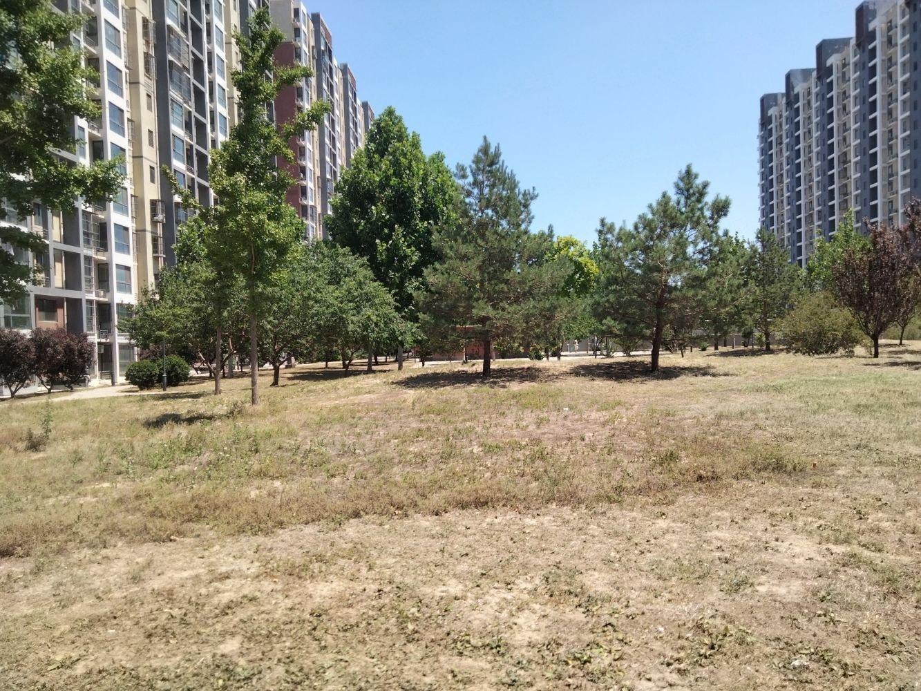 北京育新花园北里二手房房源图片