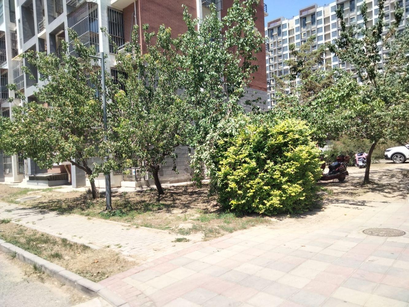 北京育新花园北里二手房房源图片