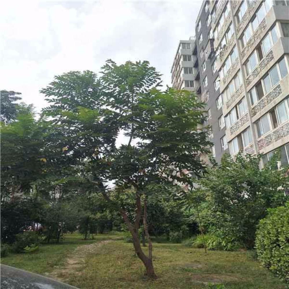 北京燕归宁馨园二手房房源图片